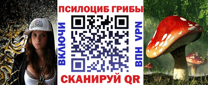 Псилоцибиновые грибы Psilocybine cubensis  хочу наркоту  Чишмы 